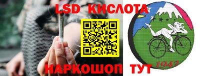 шишки Партизанск