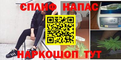 прущие грибы Первоуральск