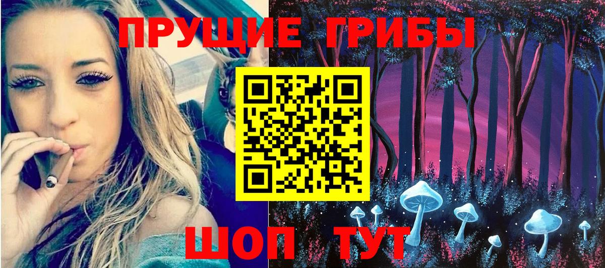 Сокол  Галлюциногенные грибы GOLDEN TEACHER  Вход с VPN 