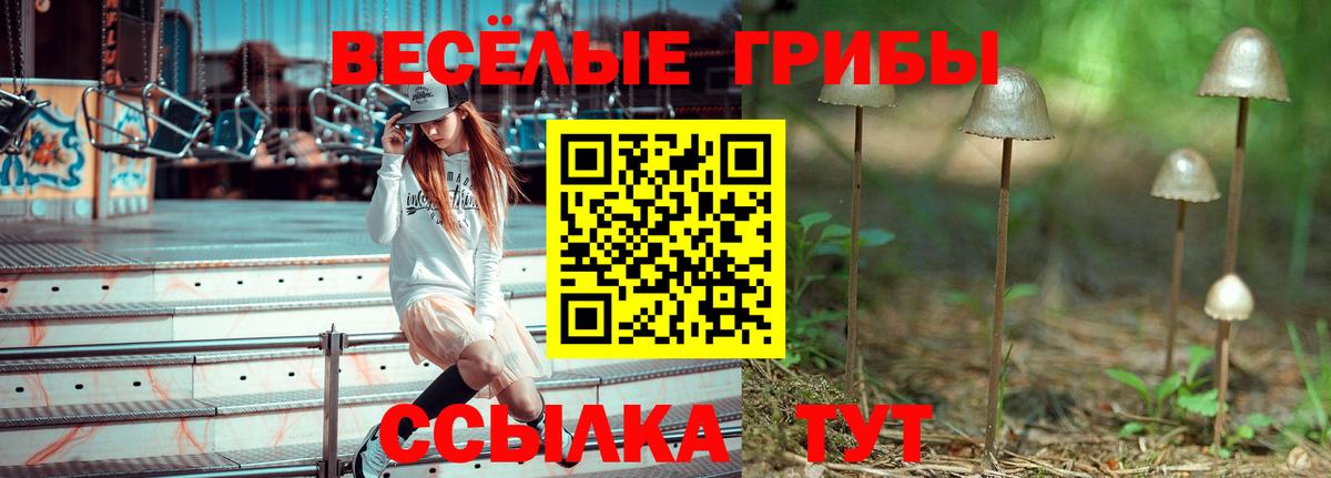 Псилоцибиновые грибы ЛСД Сокол